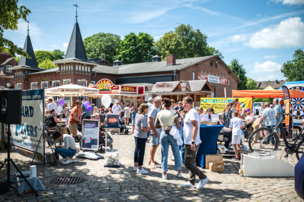 2025 06 29 wilma 6768